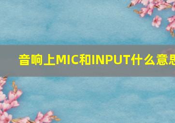 音响上MIC和INPUT什么意思