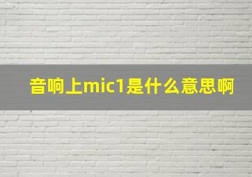 音响上mic1是什么意思啊