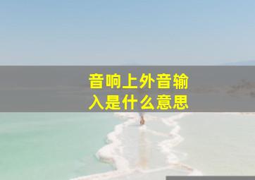 音响上外音输入是什么意思