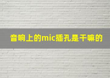 音响上的mic插孔是干嘛的