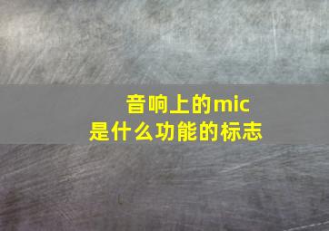 音响上的mic是什么功能的标志