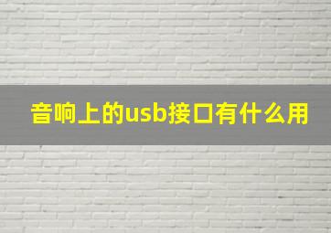 音响上的usb接口有什么用