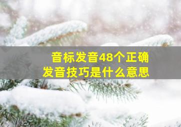 音标发音48个正确发音技巧是什么意思