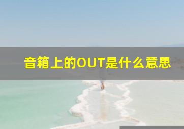 音箱上的OUT是什么意思