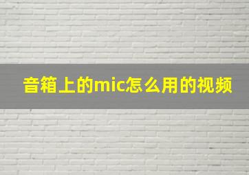 音箱上的mic怎么用的视频