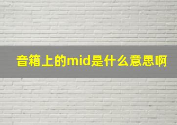 音箱上的mid是什么意思啊