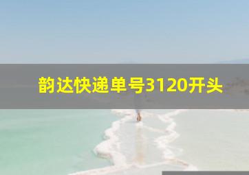 韵达快递单号3120开头