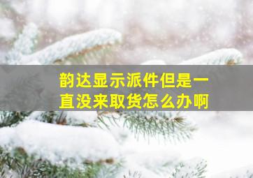 韵达显示派件但是一直没来取货怎么办啊