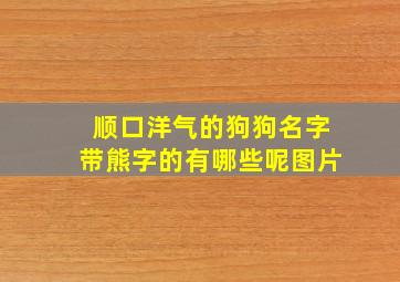 顺口洋气的狗狗名字带熊字的有哪些呢图片