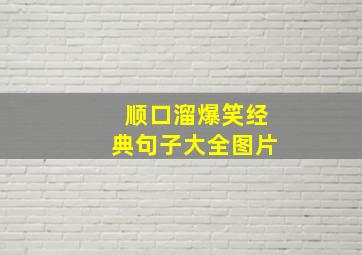 顺口溜爆笑经典句子大全图片