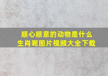 顺心顺意的动物是什么生肖呢图片视频大全下载