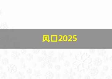 风口2025