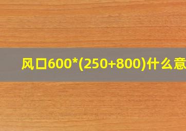 风口600*(250+800)什么意思