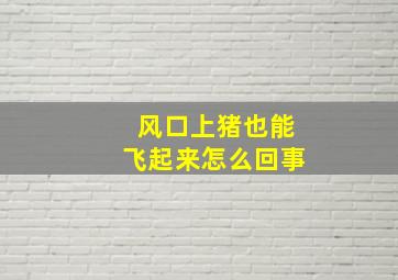 风口上猪也能飞起来怎么回事