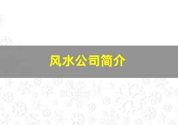 风水公司简介