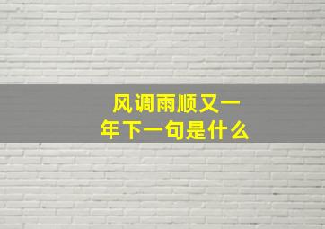 风调雨顺又一年下一句是什么