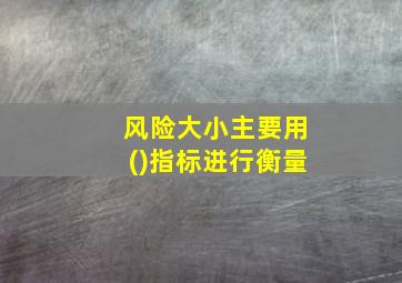 风险大小主要用()指标进行衡量