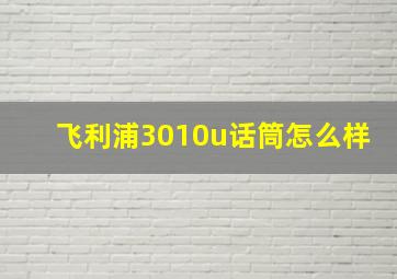 飞利浦3010u话筒怎么样