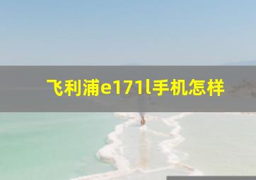 飞利浦e171l手机怎样