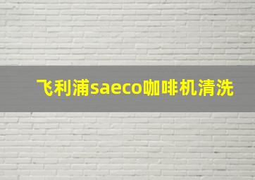 飞利浦saeco咖啡机清洗