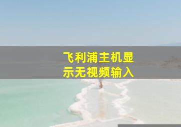 飞利浦主机显示无视频输入