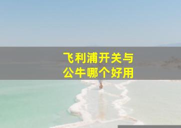 飞利浦开关与公牛哪个好用