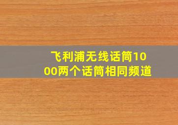 飞利浦无线话筒1000两个话筒相同频道