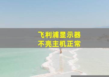 飞利浦显示器不亮主机正常