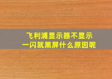 飞利浦显示器不显示一闪就黑屏什么原因呢