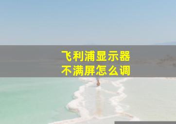 飞利浦显示器不满屏怎么调