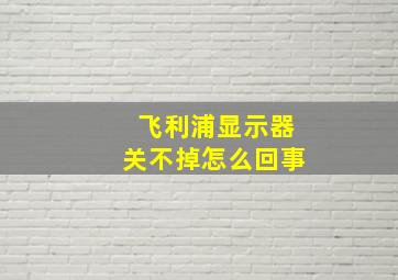 飞利浦显示器关不掉怎么回事