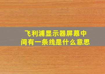 飞利浦显示器屏幕中间有一条线是什么意思