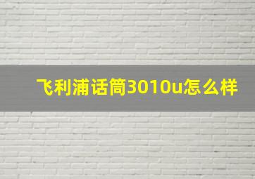 飞利浦话筒3010u怎么样