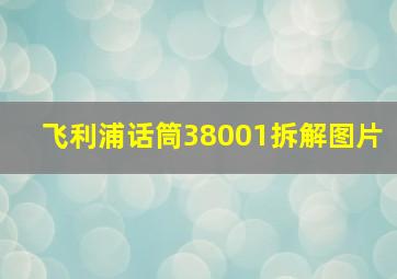 飞利浦话筒38001拆解图片