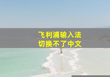 飞利浦输入法切换不了中文