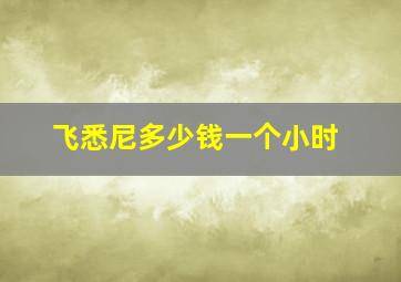 飞悉尼多少钱一个小时