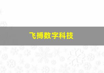 飞搏数字科技