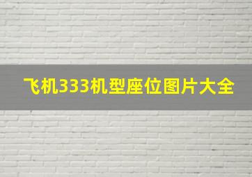 飞机333机型座位图片大全