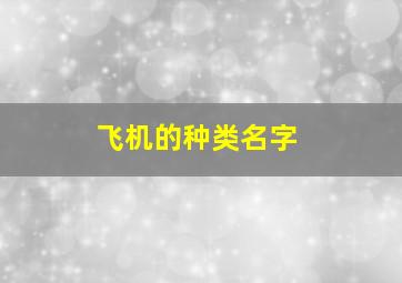 飞机的种类名字