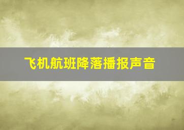 飞机航班降落播报声音