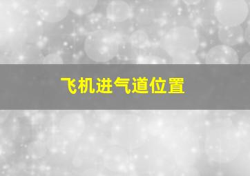 飞机进气道位置