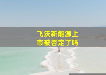 飞沃新能源上市被否定了吗