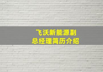 飞沃新能源副总经理简历介绍