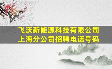 飞沃新能源科技有限公司上海分公司招聘电话号码