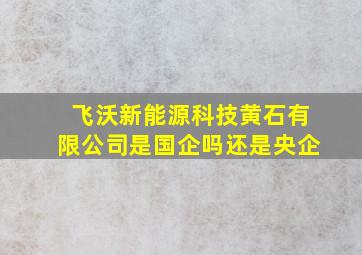 飞沃新能源科技黄石有限公司是国企吗还是央企