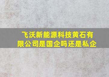 飞沃新能源科技黄石有限公司是国企吗还是私企