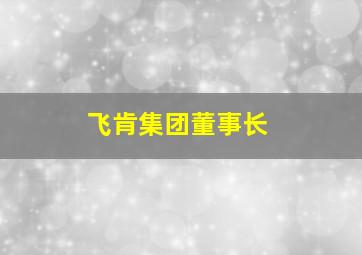 飞肯集团董事长