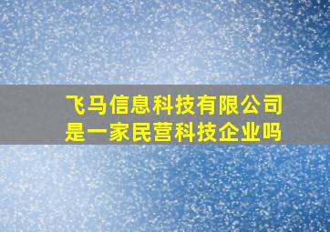 飞马信息科技有限公司是一家民营科技企业吗