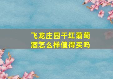 飞龙庄园干红葡萄酒怎么样值得买吗