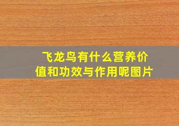 飞龙鸟有什么营养价值和功效与作用呢图片